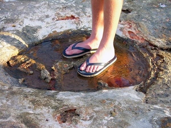 Picture 6 of Go to Australia to try on the dinosaur footprint