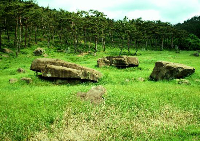 Picture 6 of Gochang, Hwasun and Ganghwa dolmens