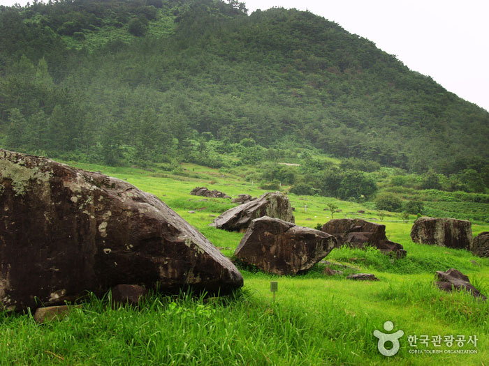Picture 7 of Gochang, Hwasun and Ganghwa dolmens