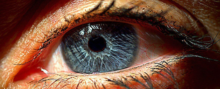 Picture 2 of Good news for millions of vision impaired people