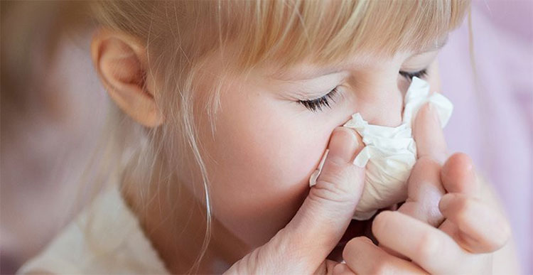 Picture 2 of Good news of medicine: Antibody appears against all flu viruses in the world