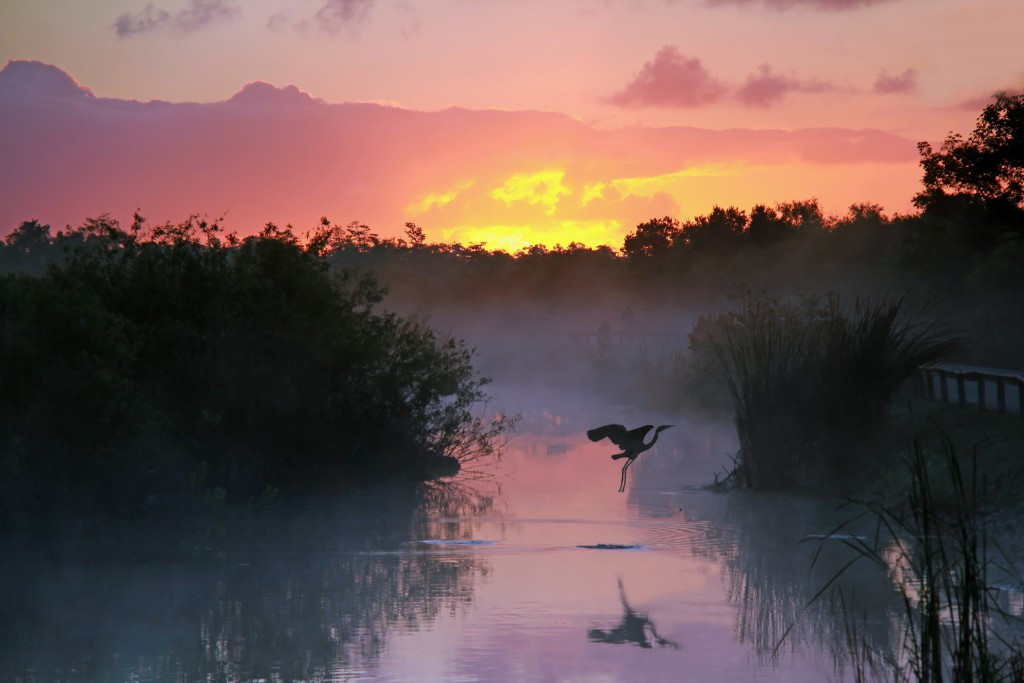 Picture 9 of Gorgeous photo series of wild animals in nature