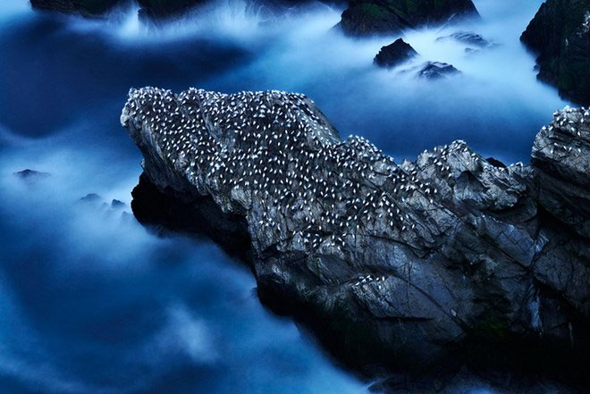Picture 2 of Gorgeous wildlife photos won awards in the UK