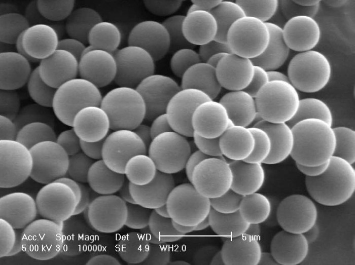 Picture 1 of Grain-making scientists carry drugs for cancer treatment