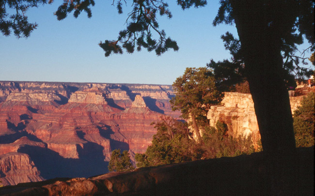 Picture 16 of Grand Canyon National Park - United States of America