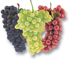 Picture 1 of Grapes - good remedy against high blood pressure