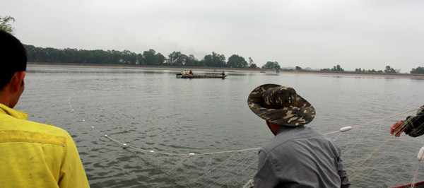 Picture 1 of Grasp the giant net of Ho Guom turtle in Son Tay