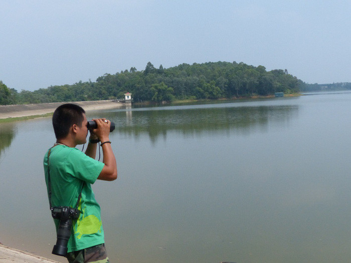 Picture 4 of Grasp the giant net of Ho Guom turtle in Son Tay