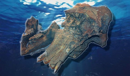 Picture 1 of Graveyard mammoth under the Volga river
