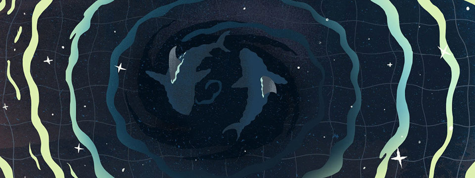 Picture 17 of Gravitational waves: The 100-year journey finds evidence for Einstein's prediction