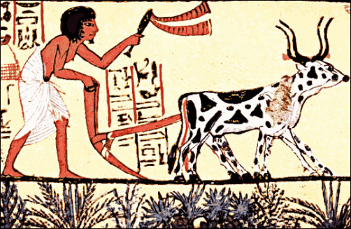 Picture 6 of Great inventions of ancient Egypt