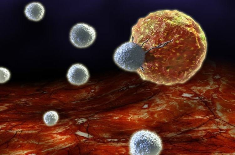 Picture 2 of Great news for cancer patients who need radiotherapy