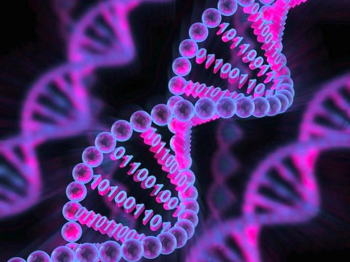 Picture 3 of Great turning point: People have 'programmed' bacteria