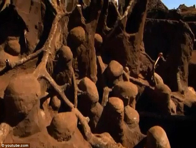 Picture 3 of 'Great Wall' of ants