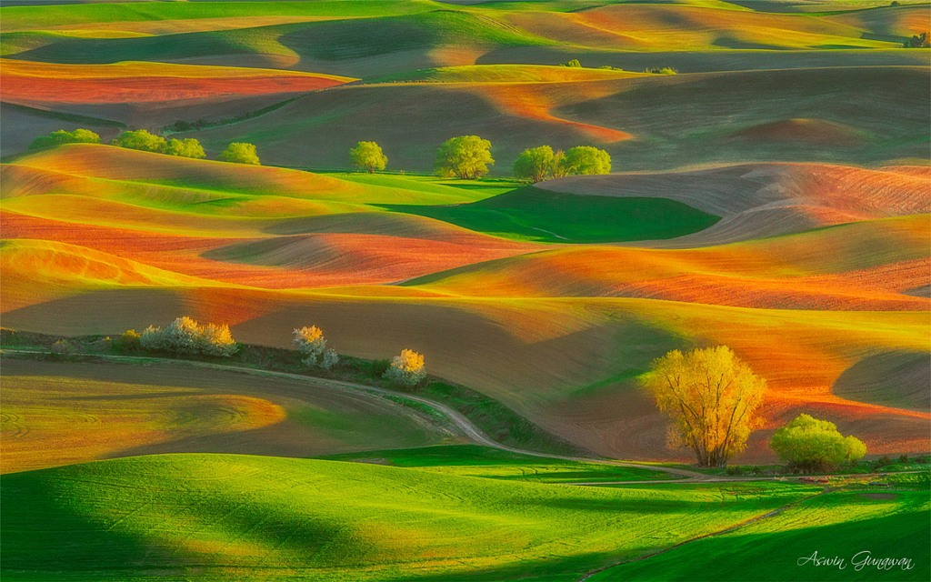 Picture 19 of Great with 21 super beautiful photos without photoshop