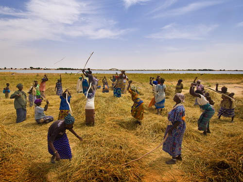 Picture 1 of Green agriculture in Africa