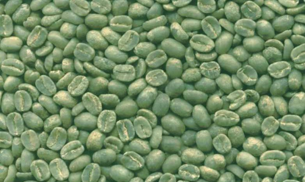 Picture 1 of Green coffee helps to lose weight