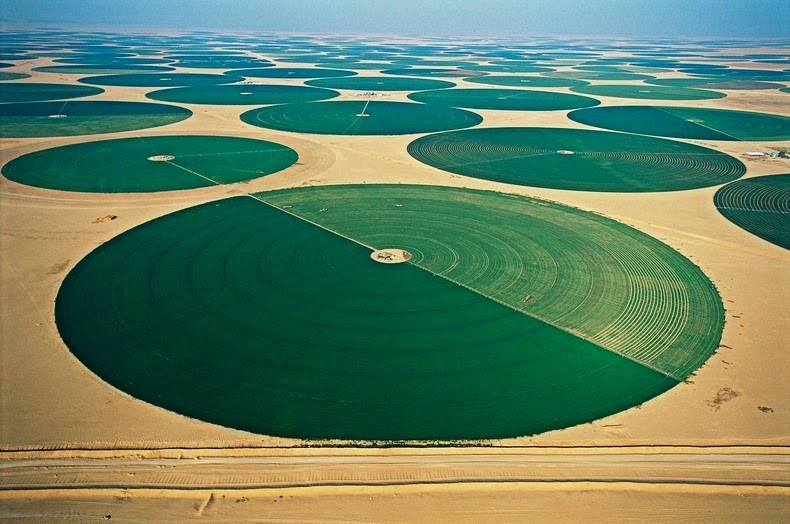 Picture 7 of Green farm in the scorching desert