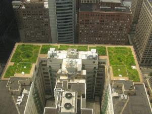 Picture 1 of Green 'roof' and war on Earth warming