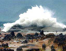 Picture 1 of Greenhouse effect brings Earth to Jurassic