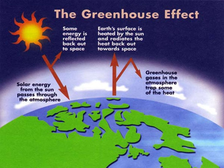 Picture 2 of Greenhouse effect