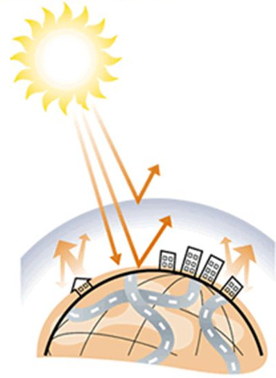 Picture 3 of Greenhouse effect