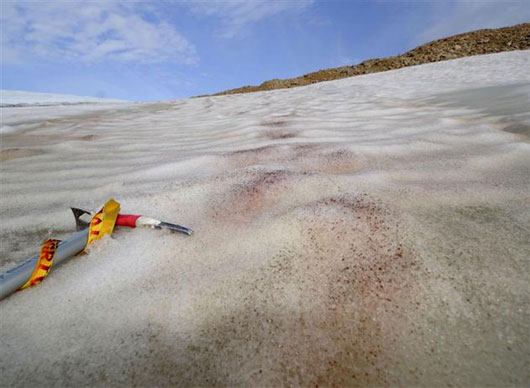 Picture 1 of Greenland allows the exploitation of uranium and rare earth in the Arctic