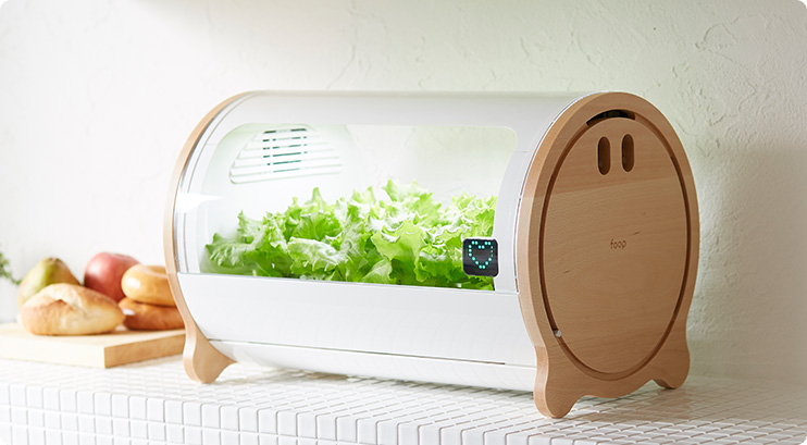 Picture 1 of Growing vegetables does not need Japanese sunlight