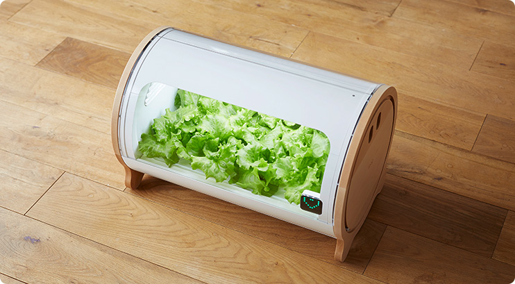 Picture 2 of Growing vegetables does not need Japanese sunlight