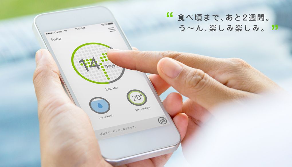 Picture 4 of Growing vegetables does not need Japanese sunlight