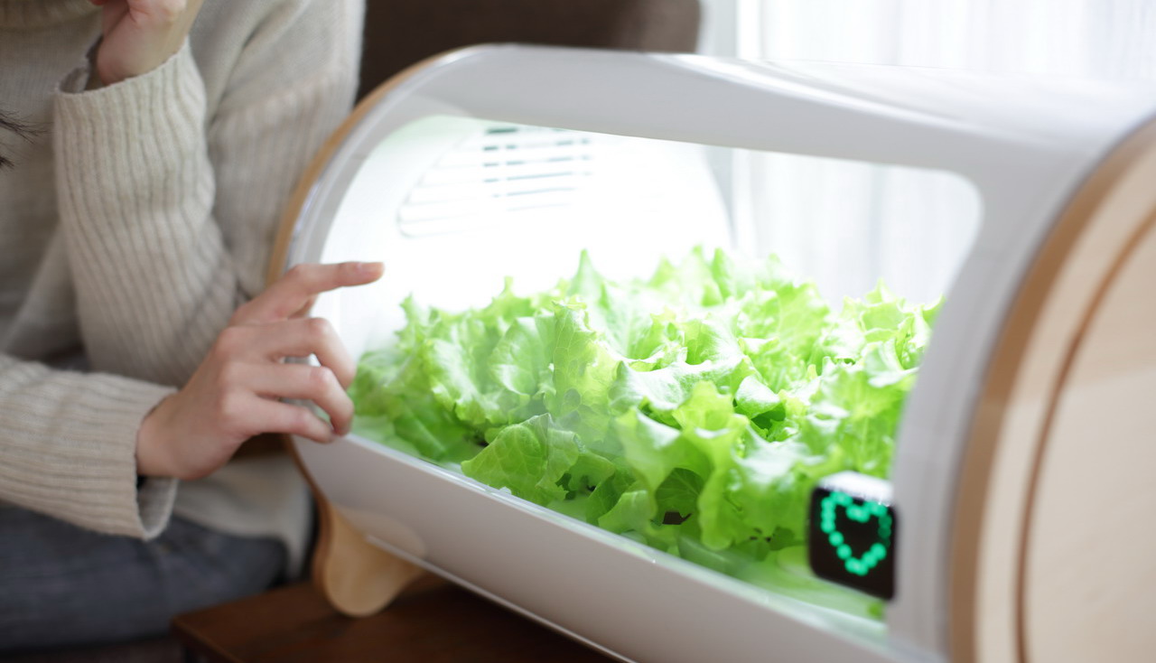 Picture 5 of Growing vegetables does not need Japanese sunlight
