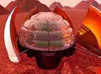 Picture 3 of Growing vegetables on Mars