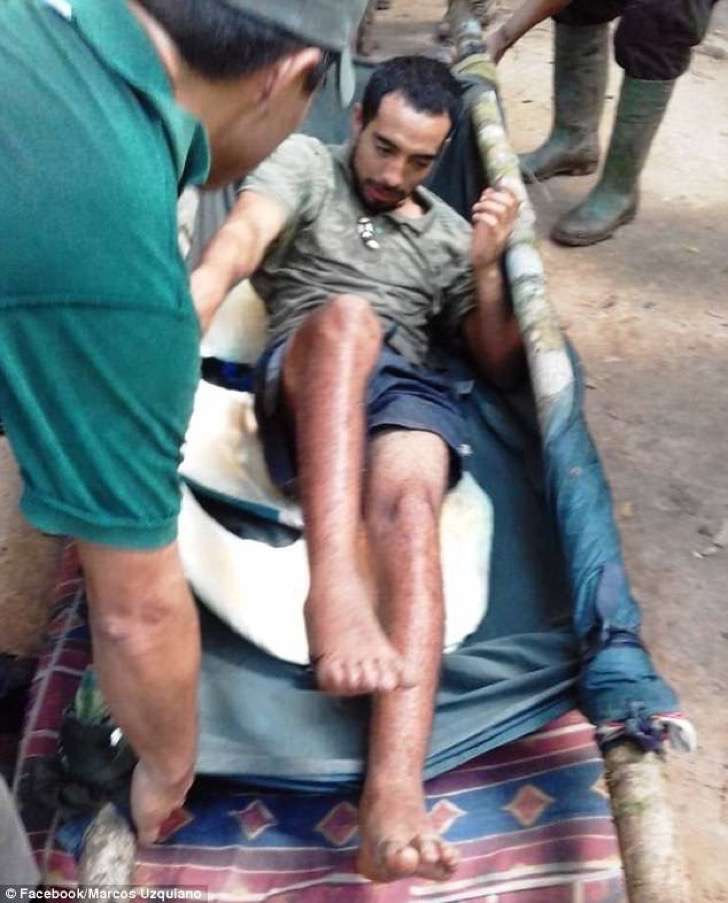 Picture 5 of Guests lost in the 9-day old forest were saved by monkeys