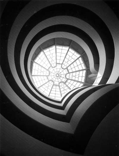 Picture 5 of Guggenheim Museum - New York