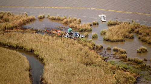 Picture 12 of Gulf of Mexico: One year after the oil spill disaster