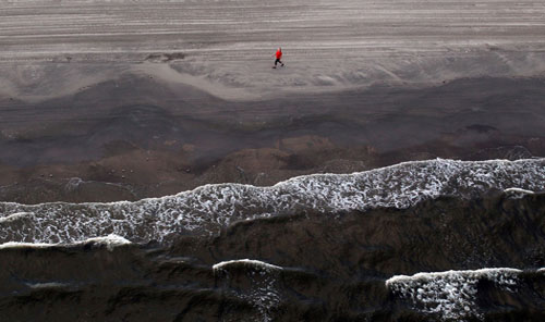 Picture 13 of Gulf of Mexico: One year after the oil spill disaster