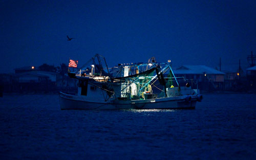 Picture 8 of Gulf of Mexico: One year after the oil spill disaster