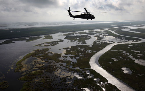 Picture 9 of Gulf of Mexico: One year after the oil spill disaster