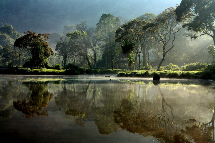 Picture 1 of Gunung Mulu National Park
