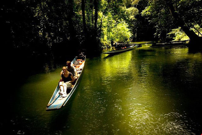 Picture 10 of Gunung Mulu National Park