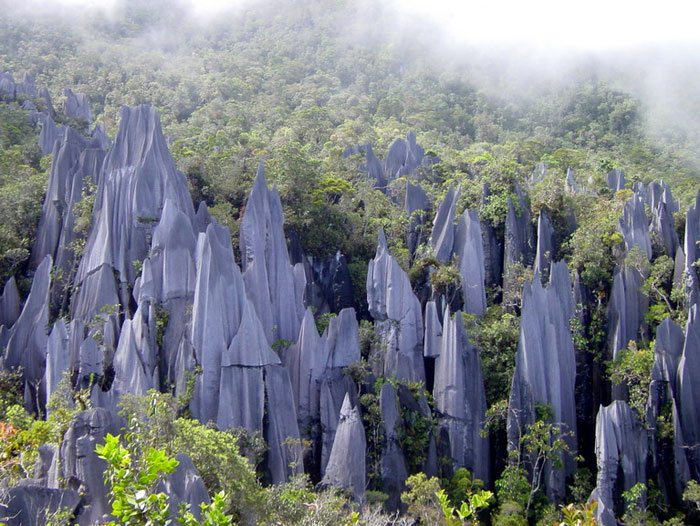 Picture 2 of Gunung Mulu National Park