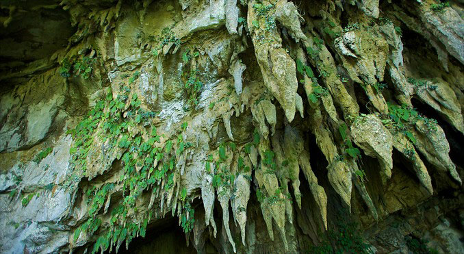 Picture 5 of Gunung Mulu National Park