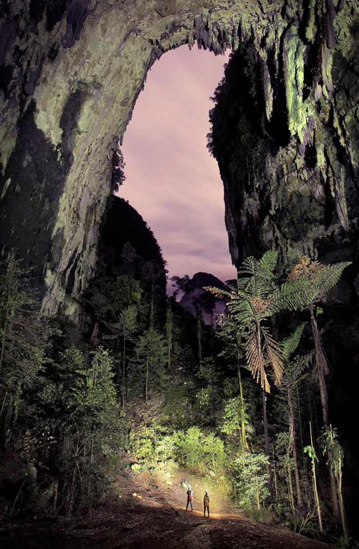 Picture 7 of Gunung Mulu National Park