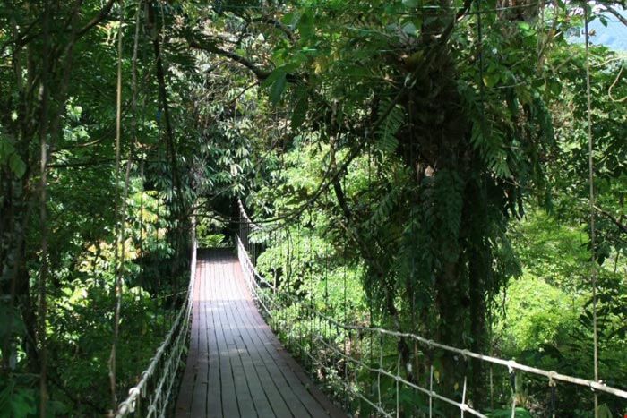 Picture 9 of Gunung Mulu National Park
