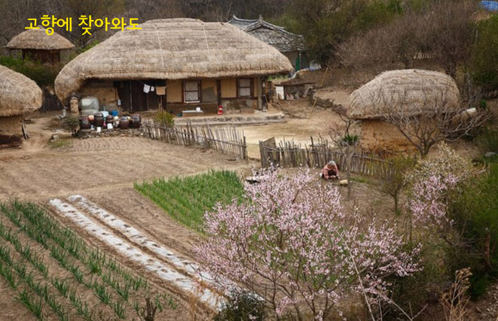 Picture 7 of Gyeongju historical site