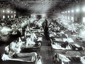 Picture 1 of H1N1 virus becomes 'killer' if there is 1 more protein