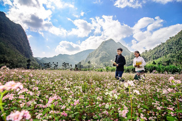 Picture 12 of Ha Giang is brilliant in the flower triangle circuit