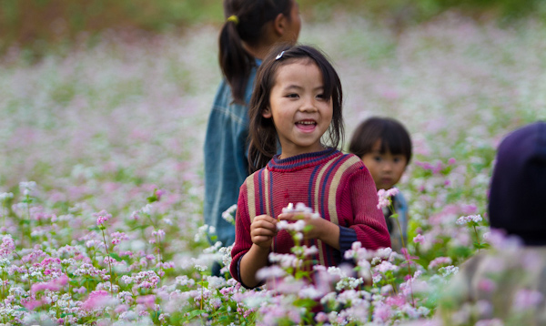 Picture 20 of Ha Giang is brilliant in the flower triangle circuit
