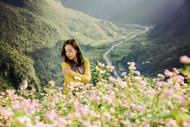 Picture 7 of Ha Giang is brilliant in the flower triangle circuit