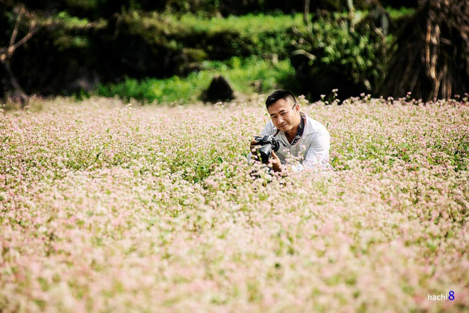 Picture 8 of Ha Giang is brilliant in the flower triangle circuit